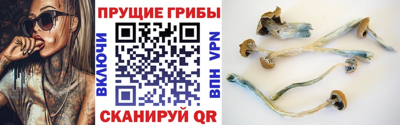 Псилоцибиновые грибы мицелий Киров