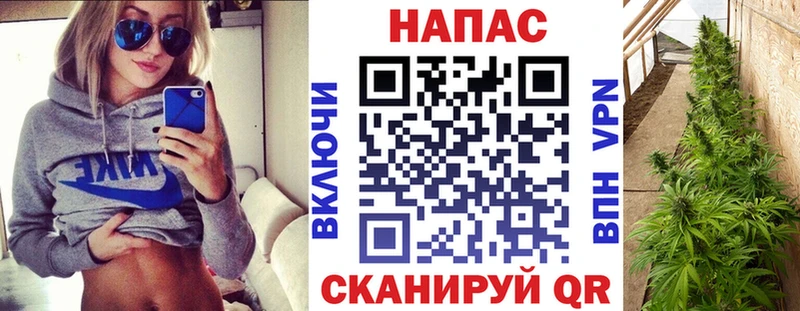 Конопля семена  Киров 